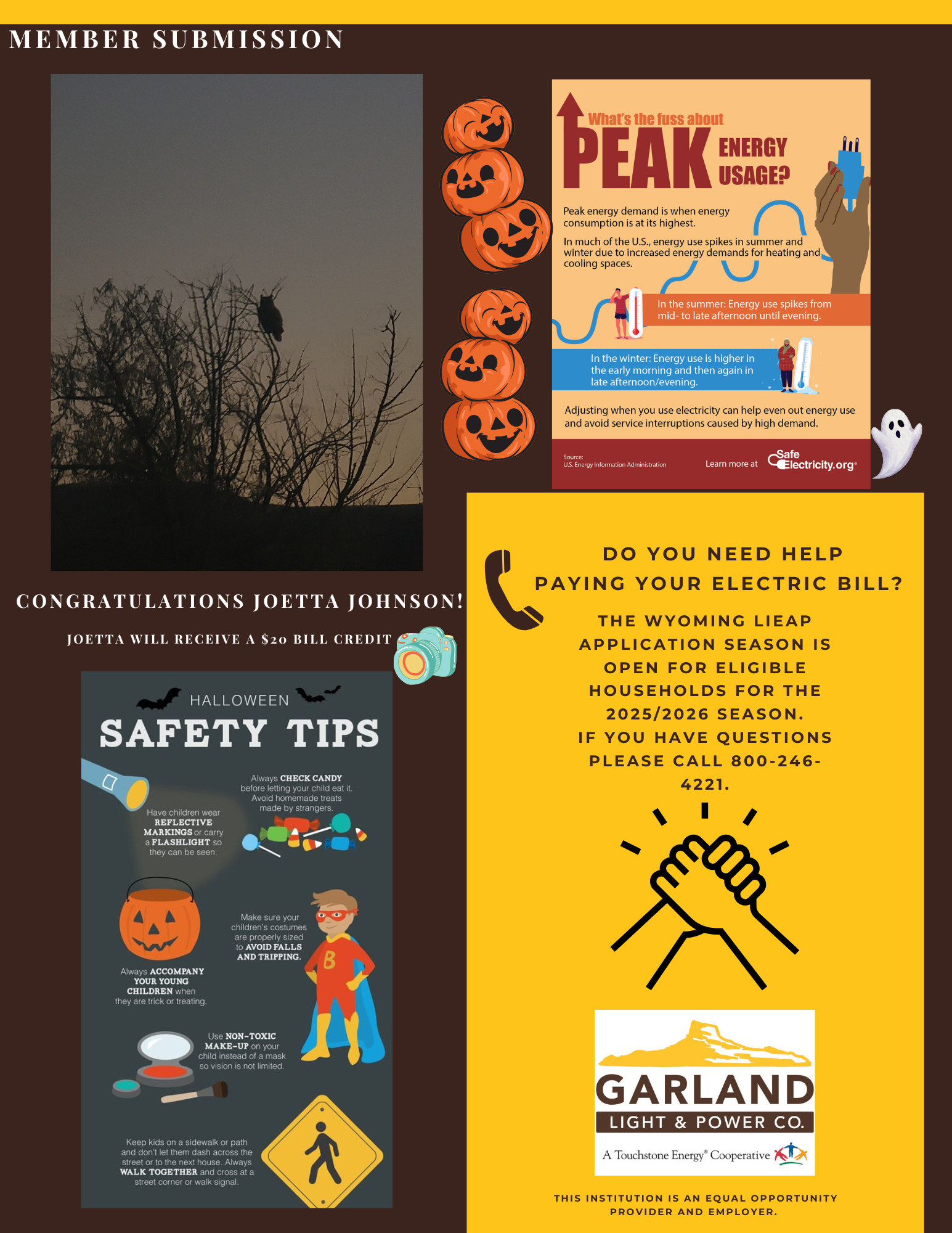 Newsletter Page 2